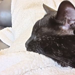 Meet your Posher, Tonya